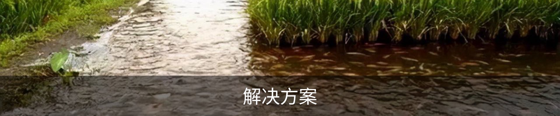 解决方案