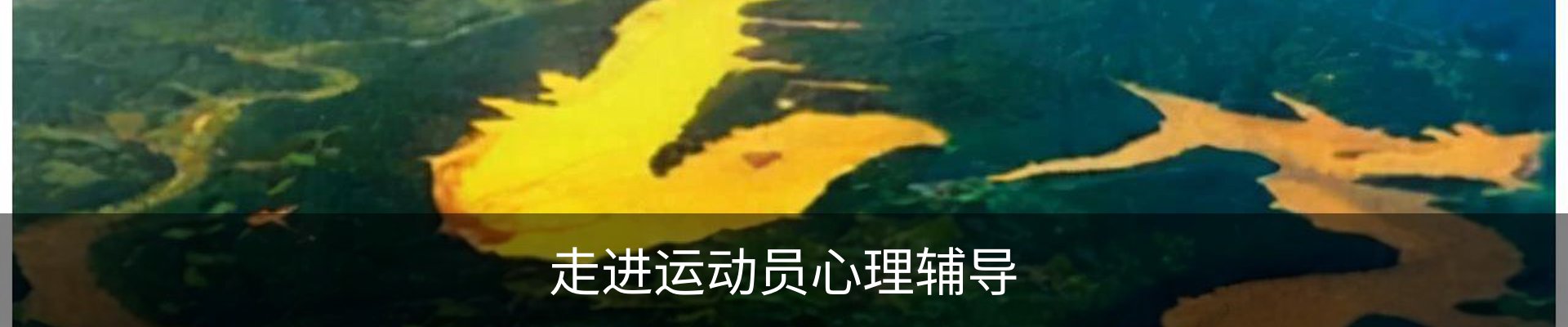 走进运动员心理辅导