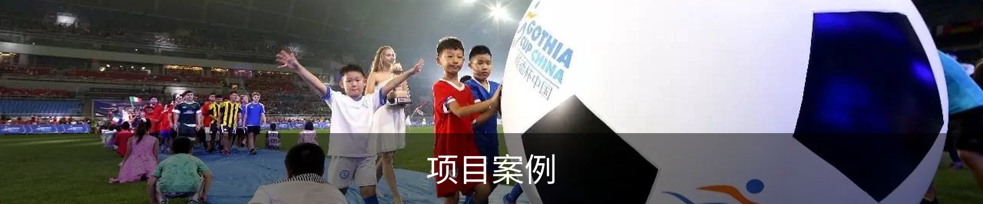 项目案例